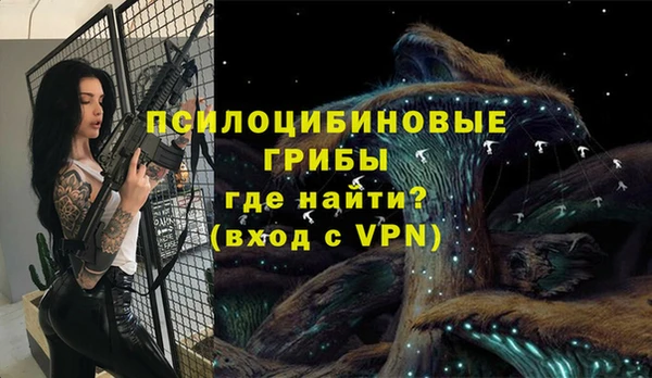 винт Алексеевка