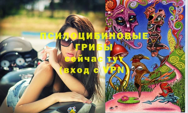 экстази Карпинск