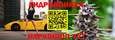 соль ск Пушкино