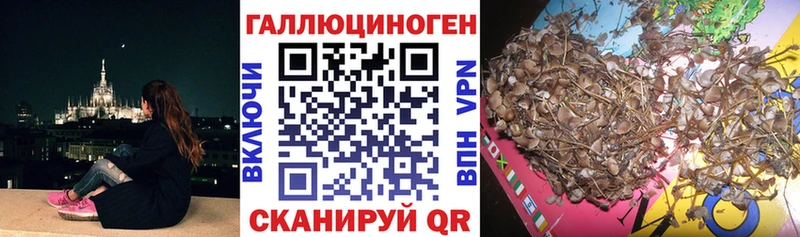 Галлюциногенные грибы Psilocybine cubensis  MEGA tor  Тара 