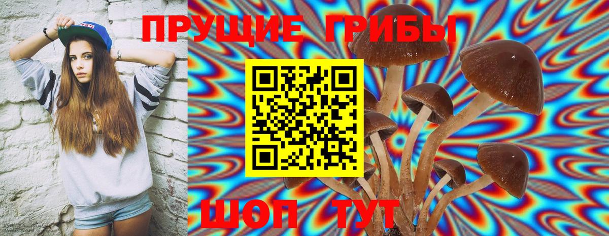 МЕФ Тара