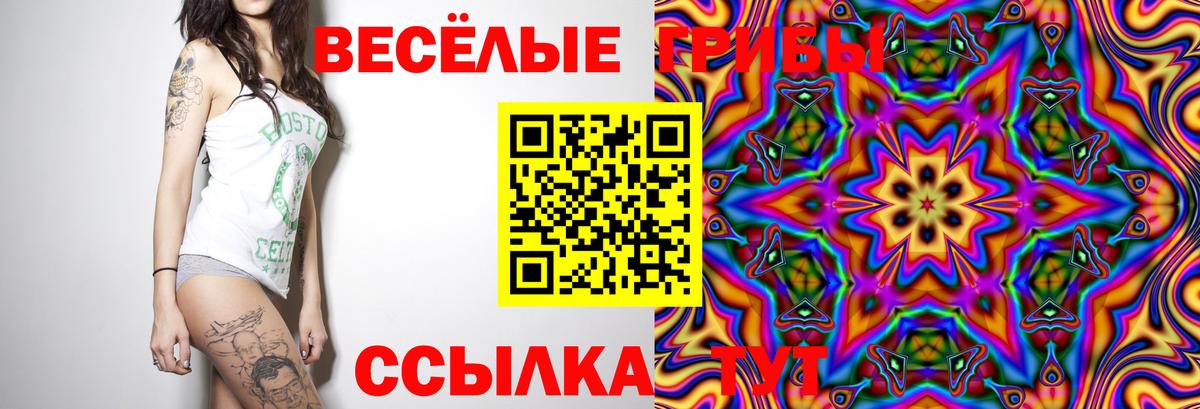 Тара  Псилоцибиновые грибы MAGIC MUSHROOMS  закладка  Вход с VPN 
