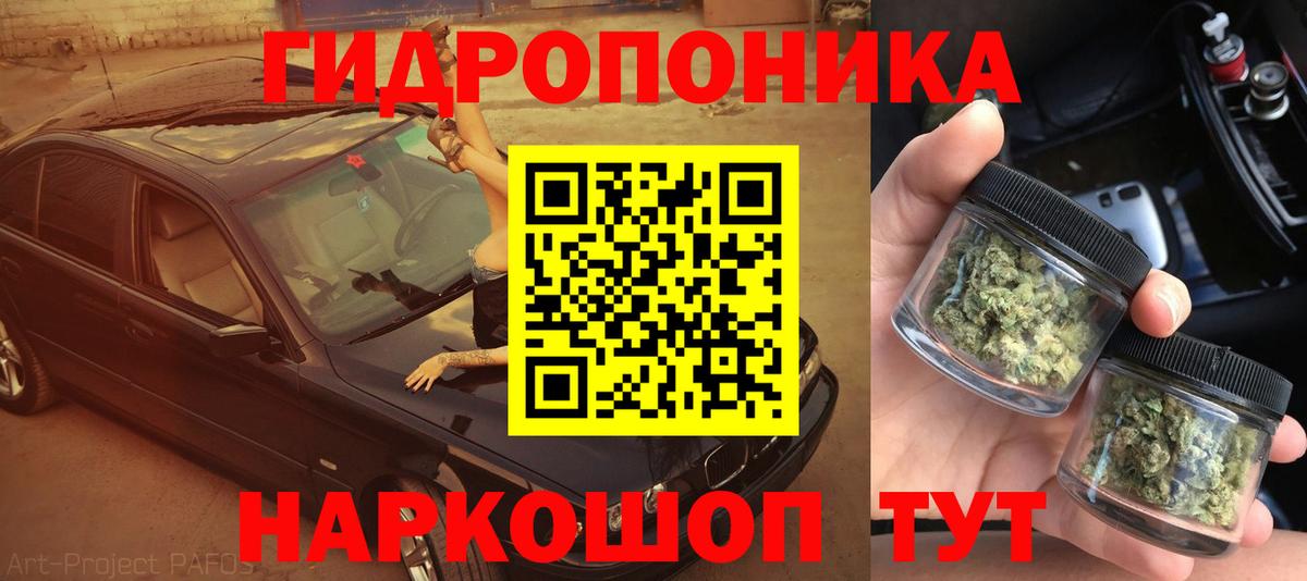 Шишки марихуана OG Kush  Вход с VPN  Конопля гибрид  Бошки марихуана сатива  Тара  Бошки Шишки MAZAR 